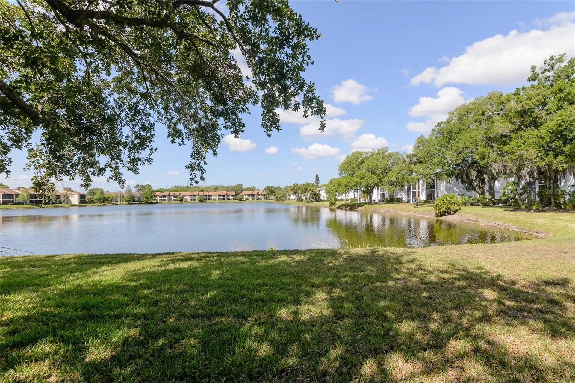 207 Cypress Lane Oldsmar FL 34677