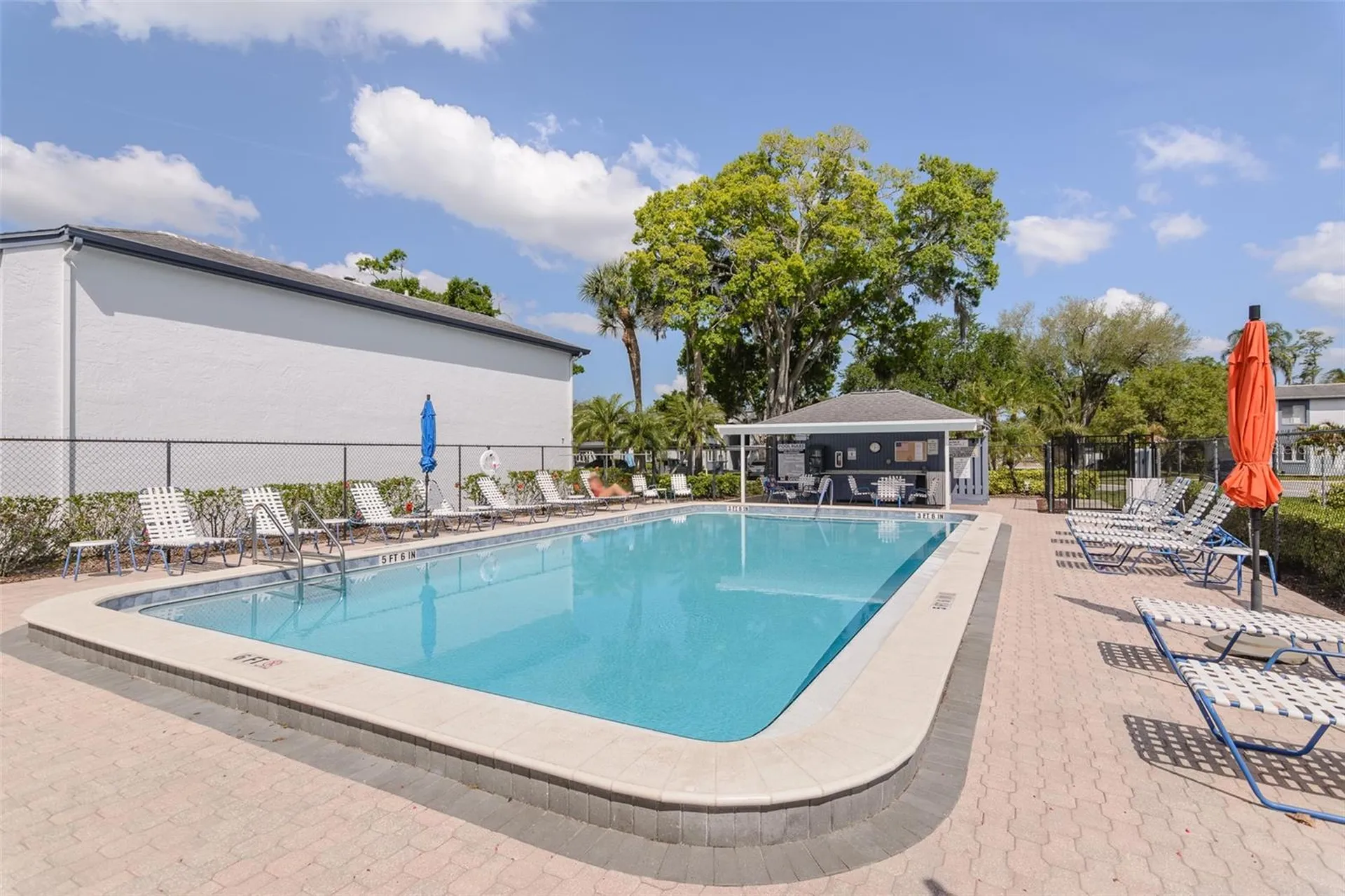 207 Cypress Lane Oldsmar FL 34677