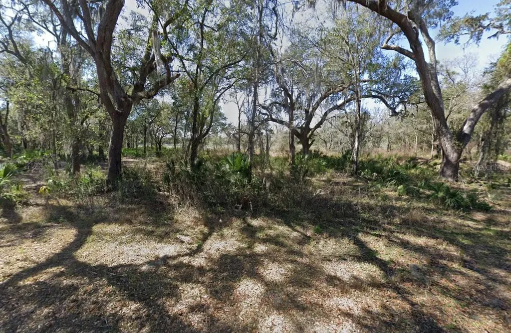 3310 S Canal Road Inverness FL 34450