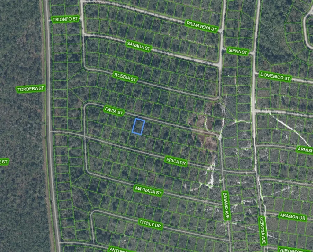 8655 Pavia Street Sebring FL 33872