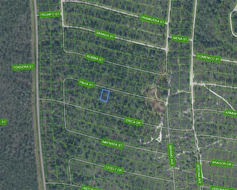 8655 Pavia Street Sebring FL 33872