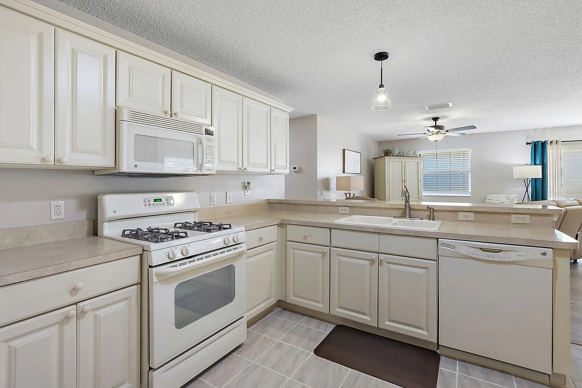 2014 Johnson Court The Villages FL 32162