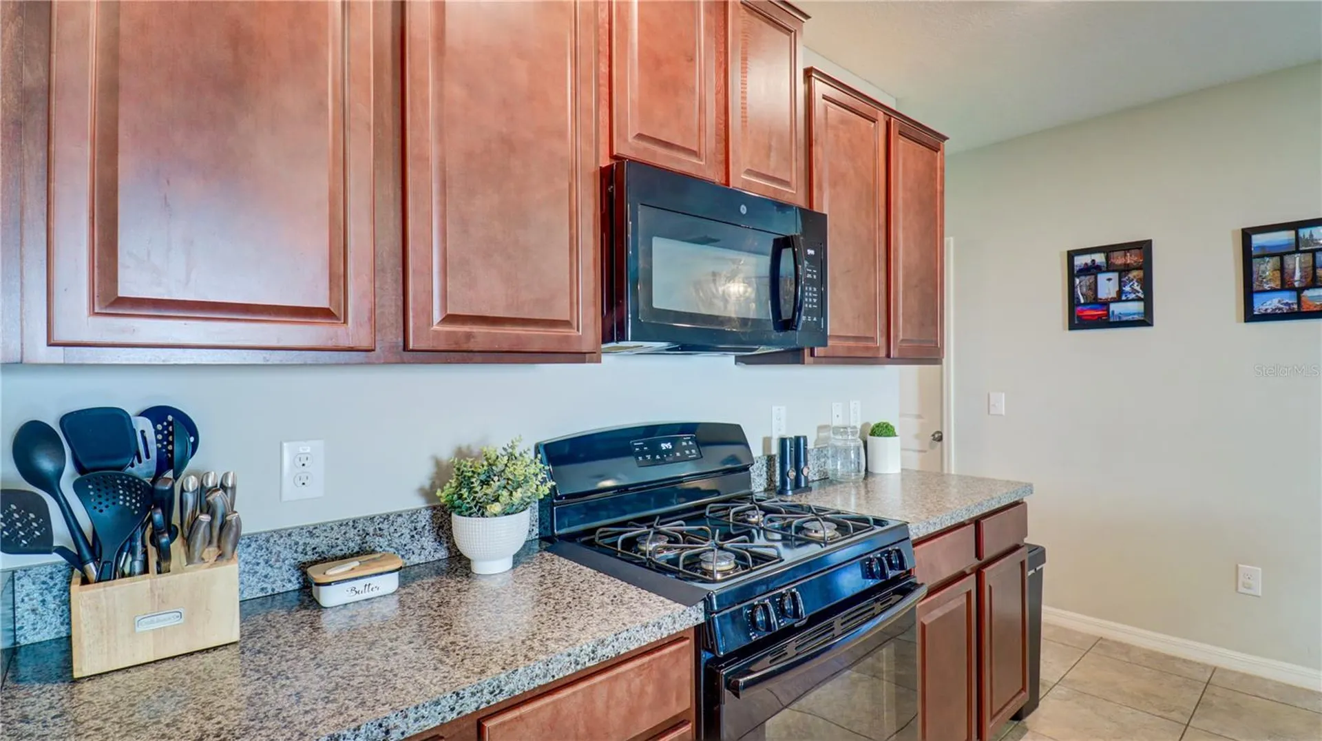9633 Channing Hill Drive Sun City Center FL 33573