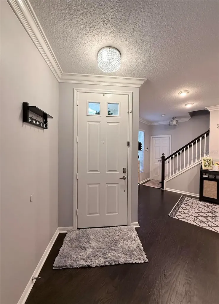 6517 Spring Oak Court Tampa FL 33625