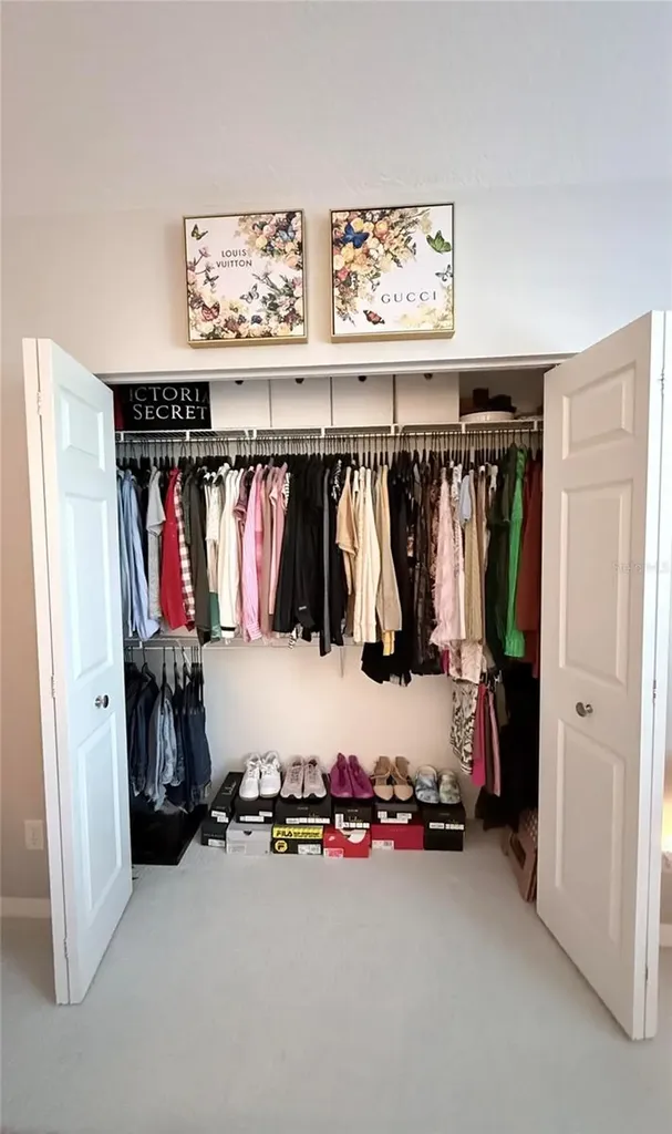 6517 Spring Oak Court Tampa FL 33625