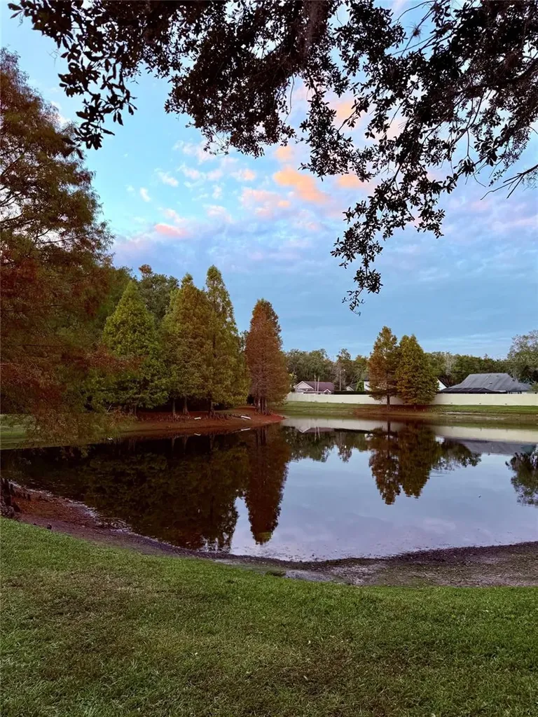 6517 Spring Oak Court Tampa FL 33625