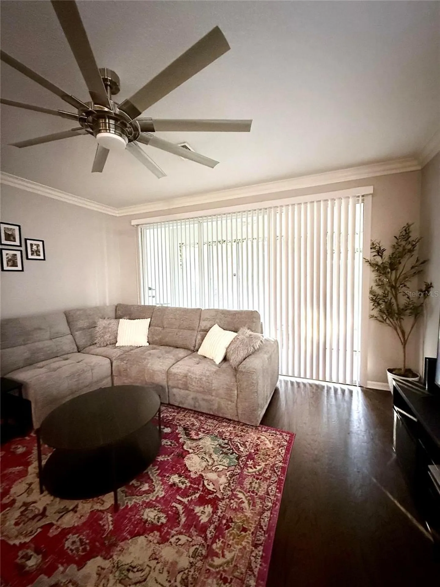 6517 Spring Oak Court Tampa FL 33625