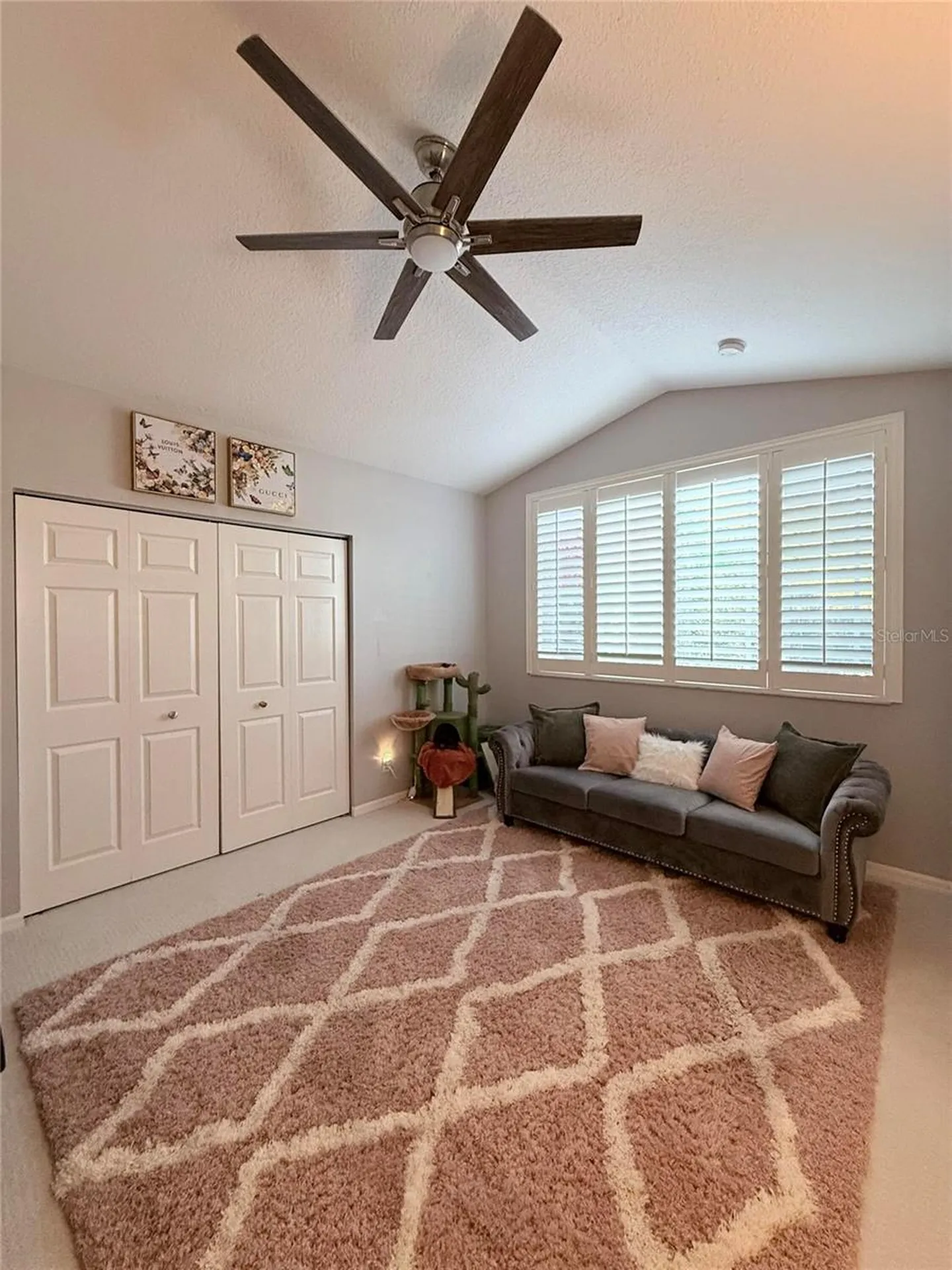 6517 Spring Oak Court Tampa FL 33625
