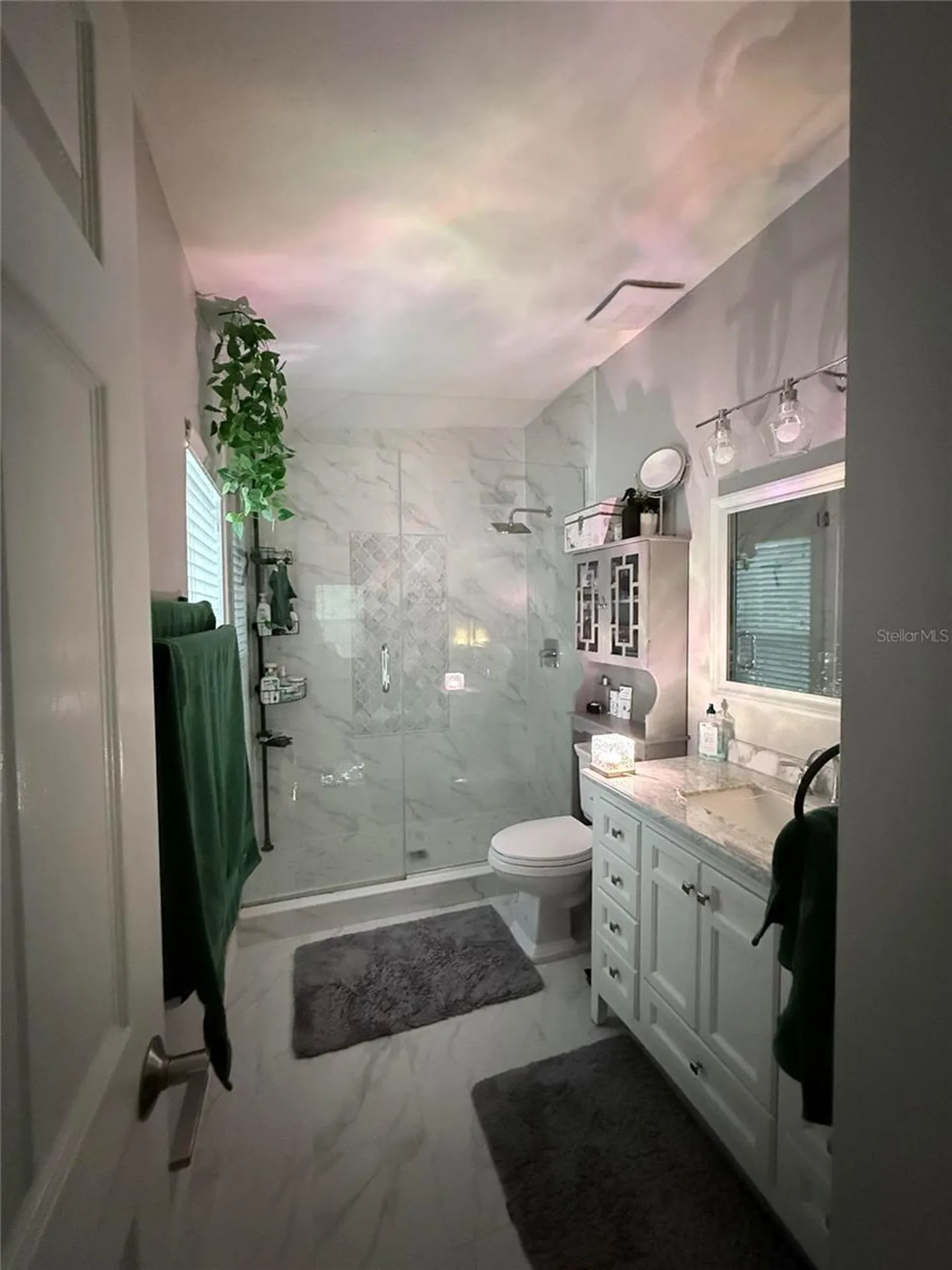 6517 Spring Oak Court Tampa FL 33625