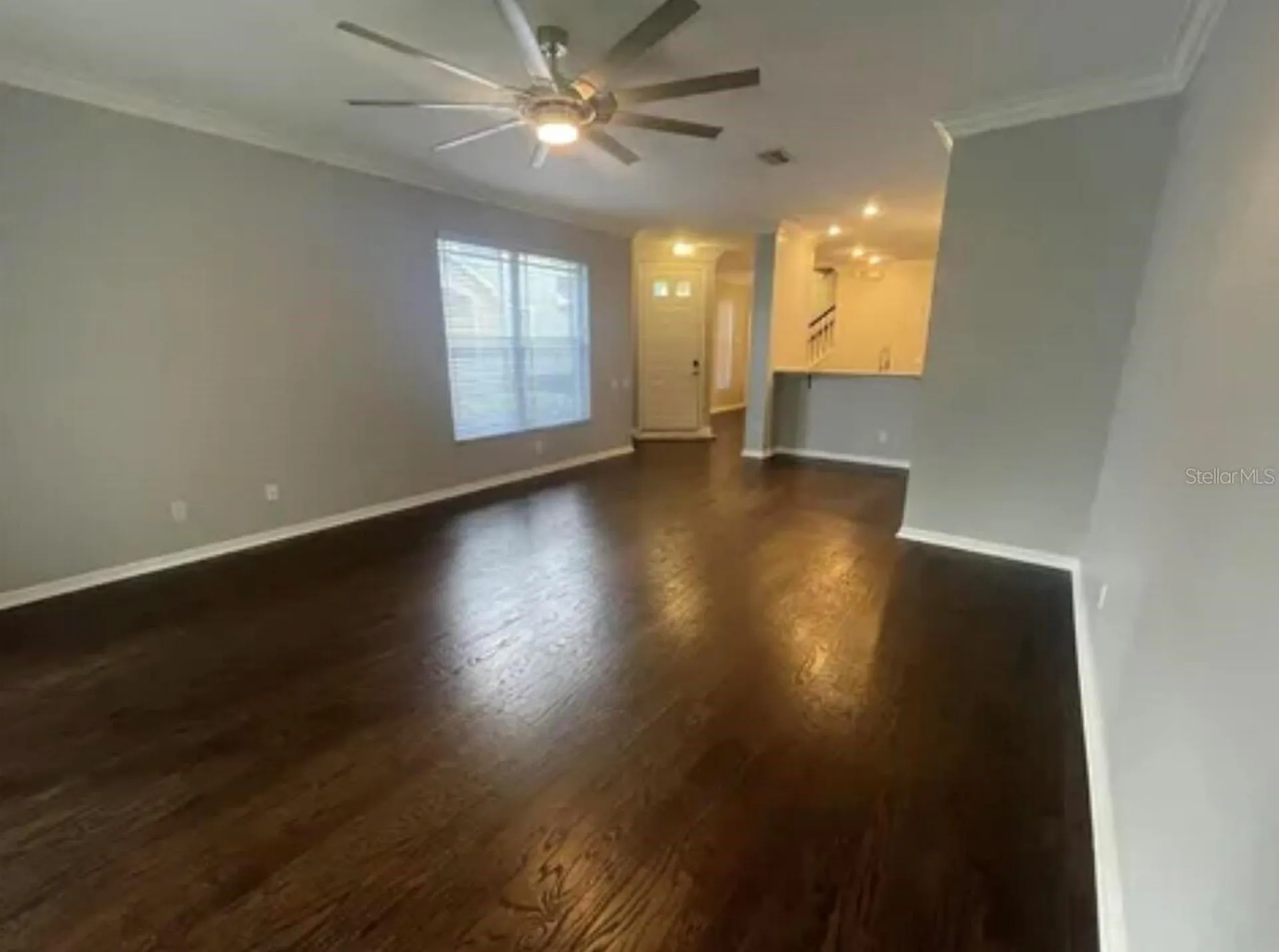 6517 Spring Oak Court Tampa FL 33625