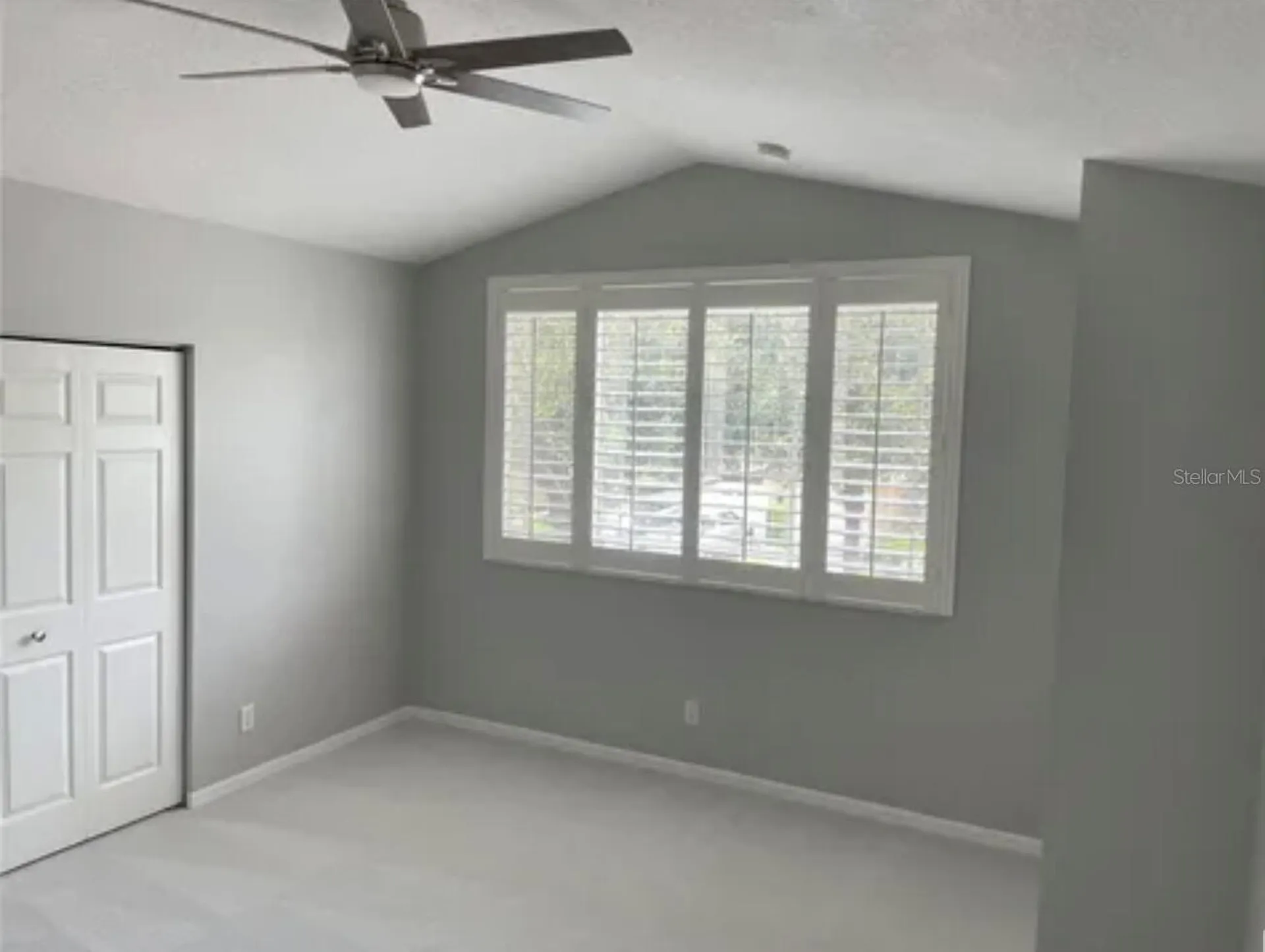 6517 Spring Oak Court Tampa FL 33625