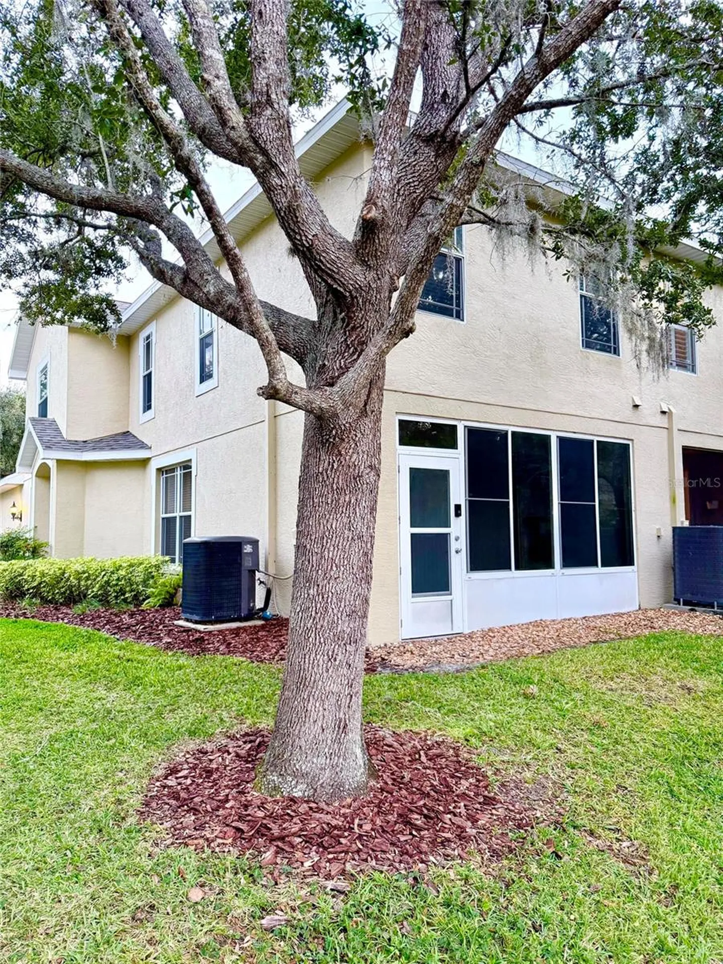 6517 Spring Oak Court Tampa FL 33625