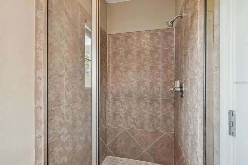 4503 Bay Spring Court Tampa FL 33611