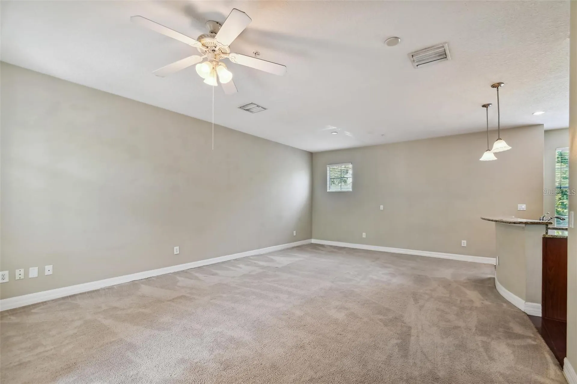 4503 Bay Spring Court Tampa FL 33611