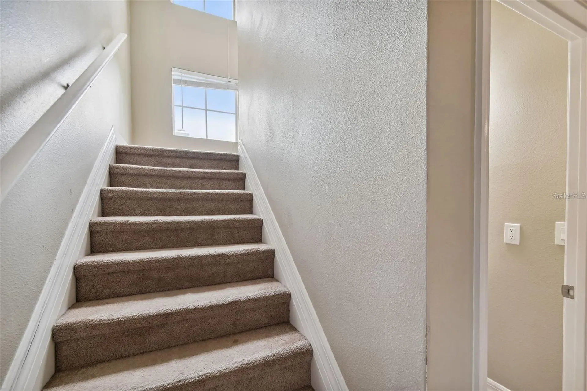 4503 Bay Spring Court Tampa FL 33611