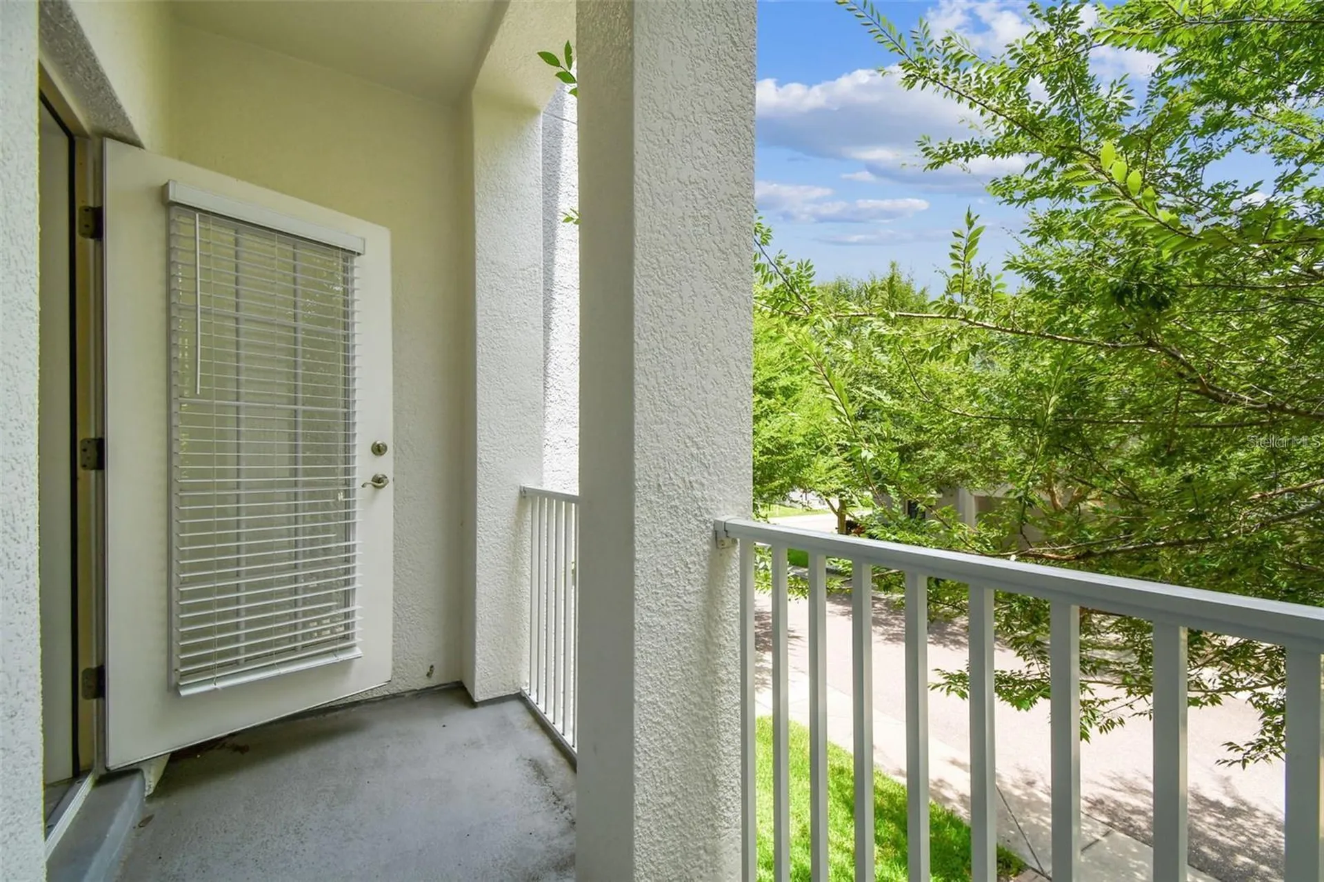 4503 Bay Spring Court Tampa FL 33611
