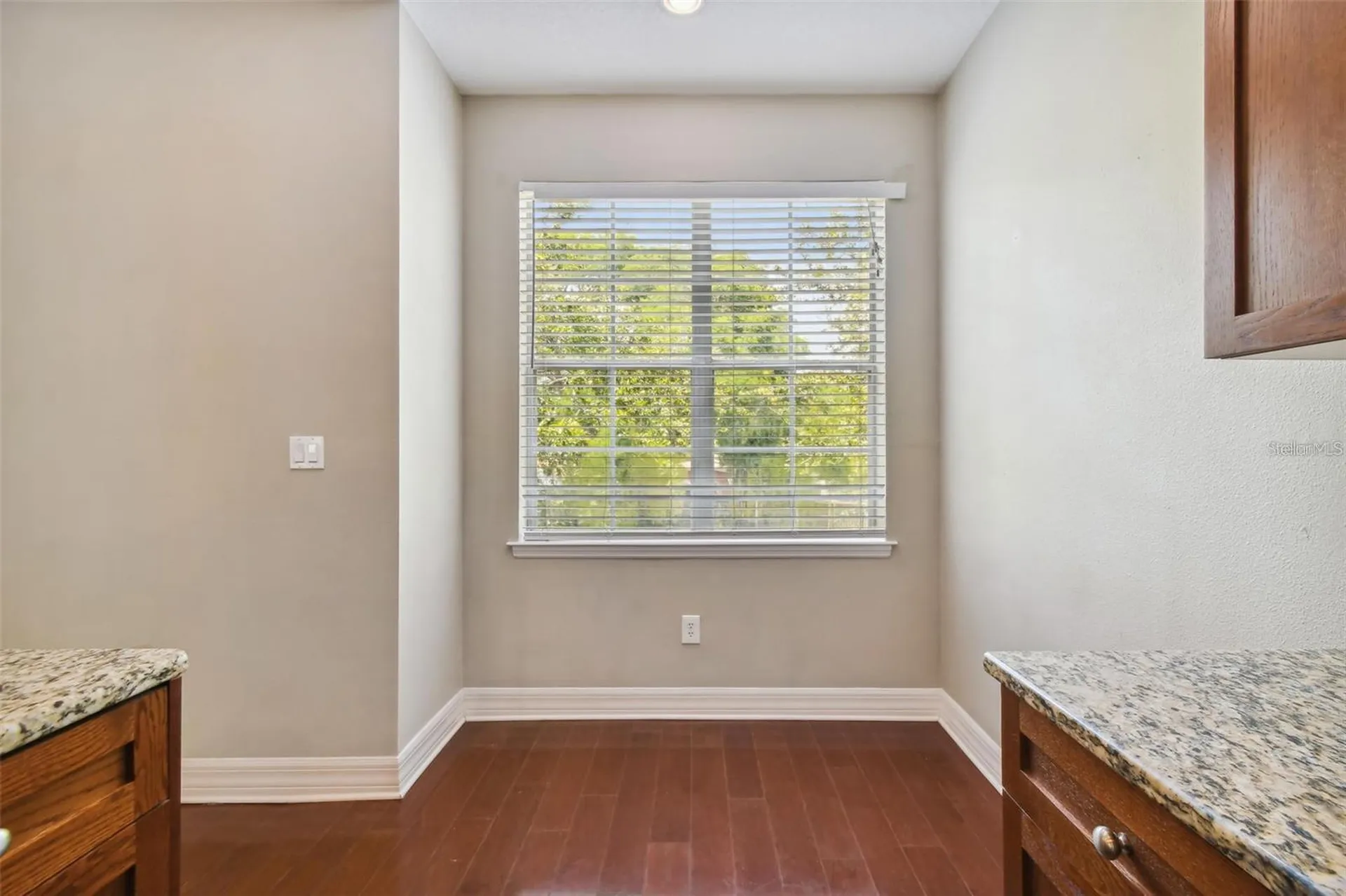 4503 Bay Spring Court Tampa FL 33611