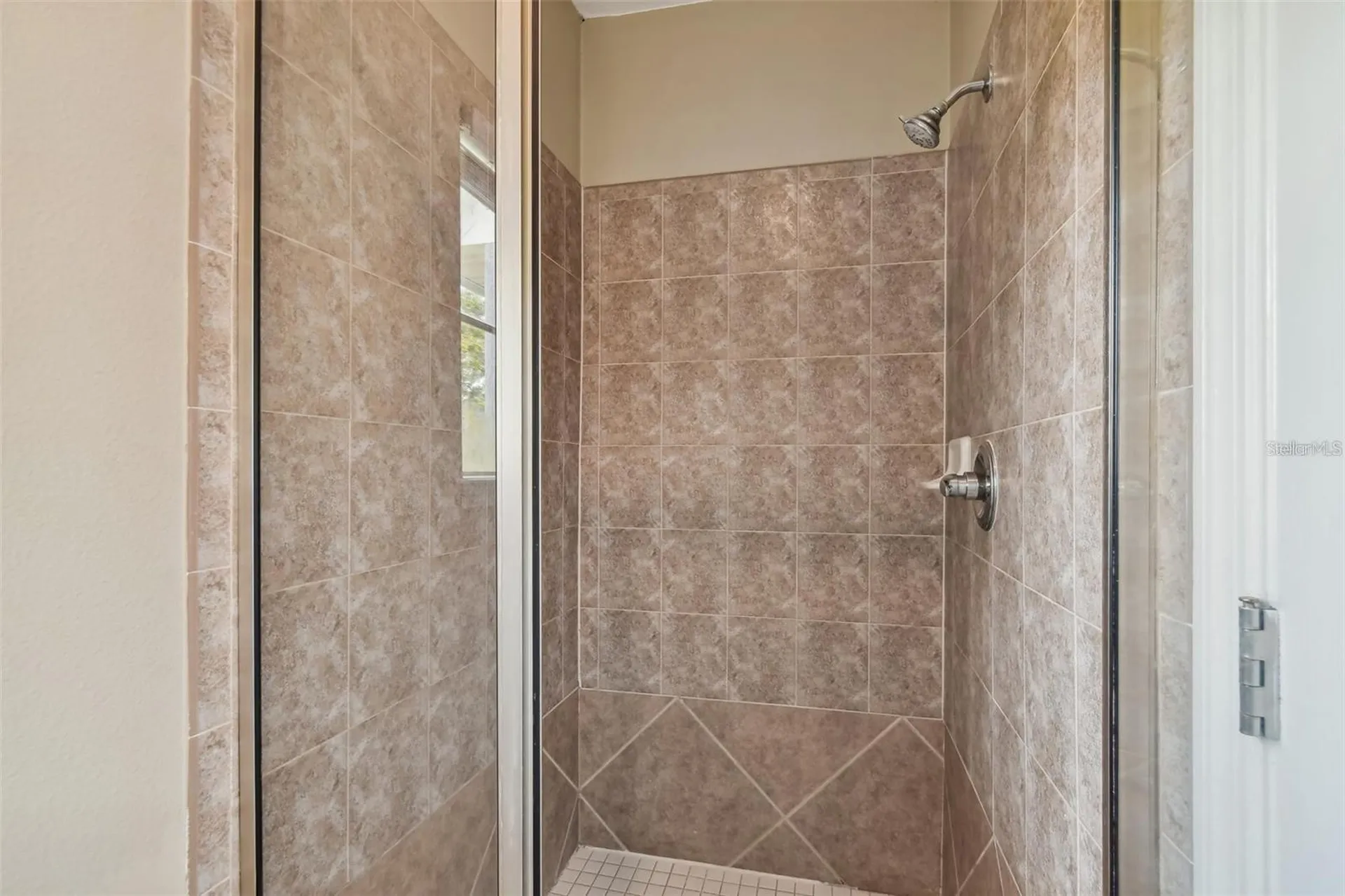 4503 Bay Spring Court Tampa FL 33611