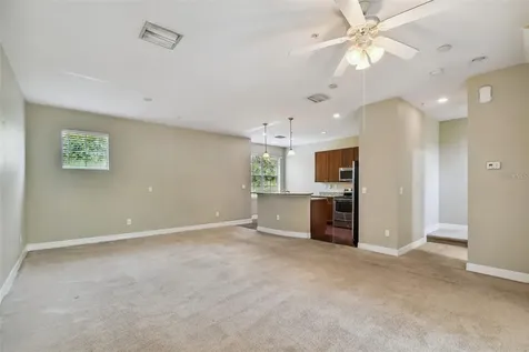 4503 Bay Spring Court Tampa FL 33611