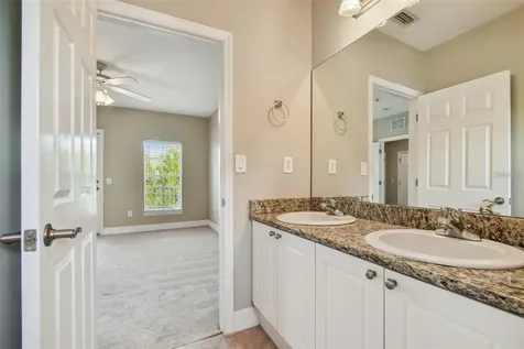 4503 Bay Spring Court Tampa FL 33611