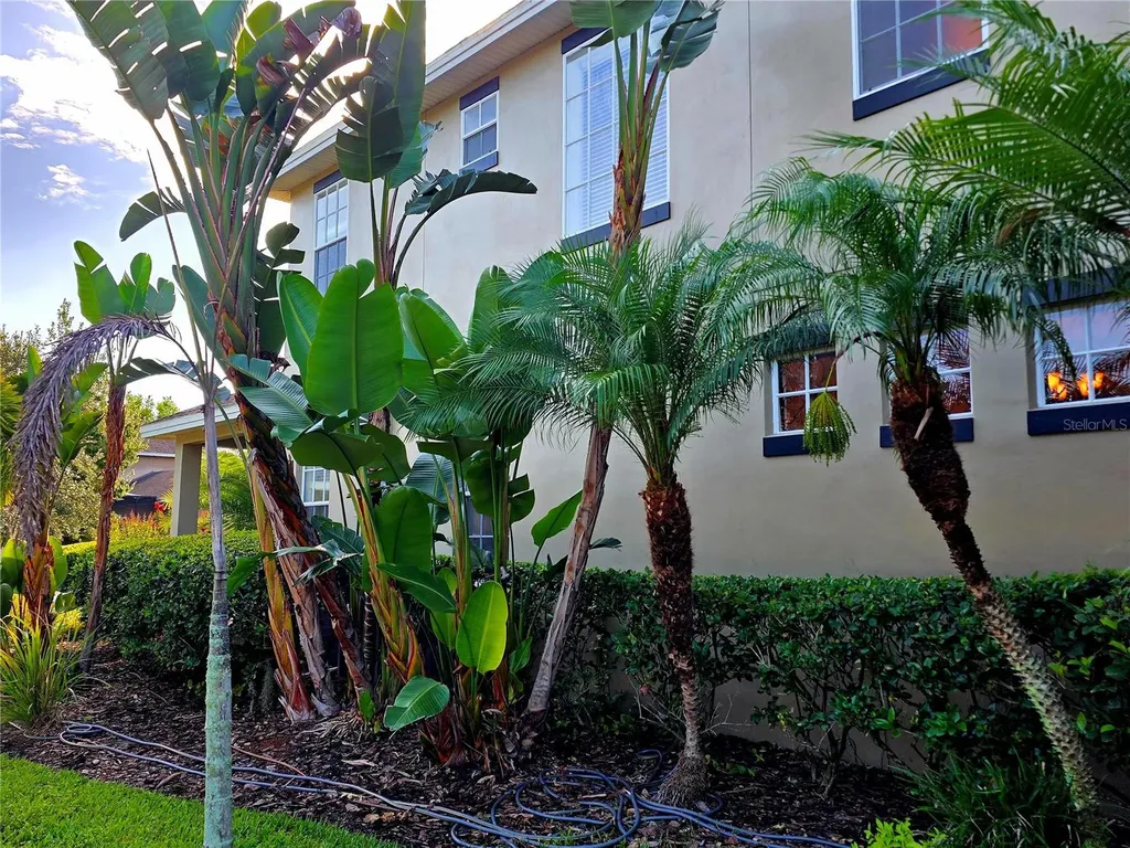 3540 Durrance Street New Port Richey FL 34655