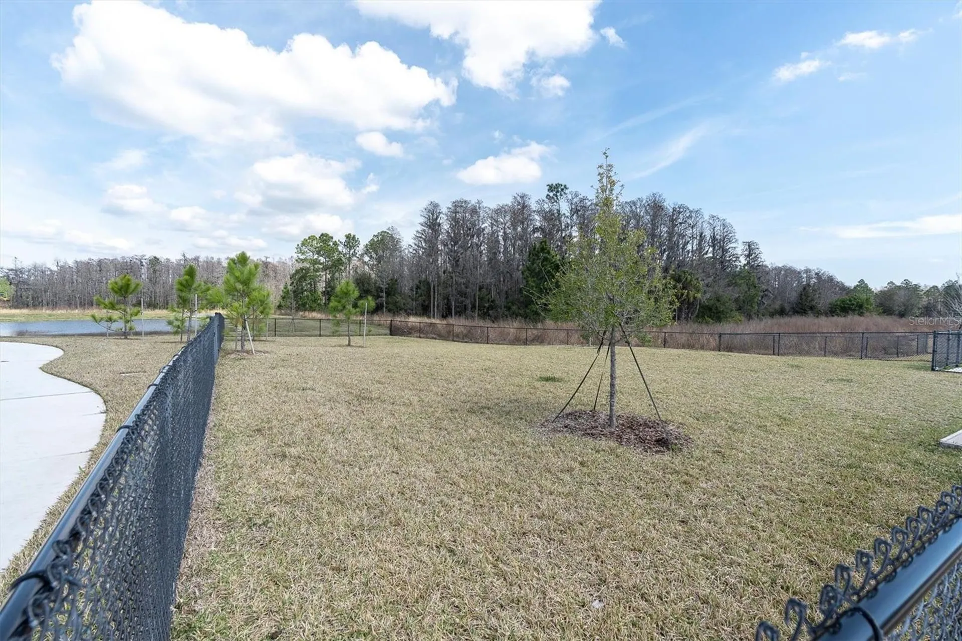 3540 Durrance Street New Port Richey FL 34655