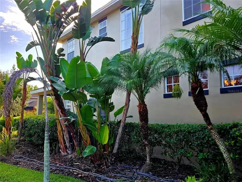 3540 Durrance Street New Port Richey FL 34655