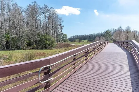 3540 Durrance Street New Port Richey FL 34655