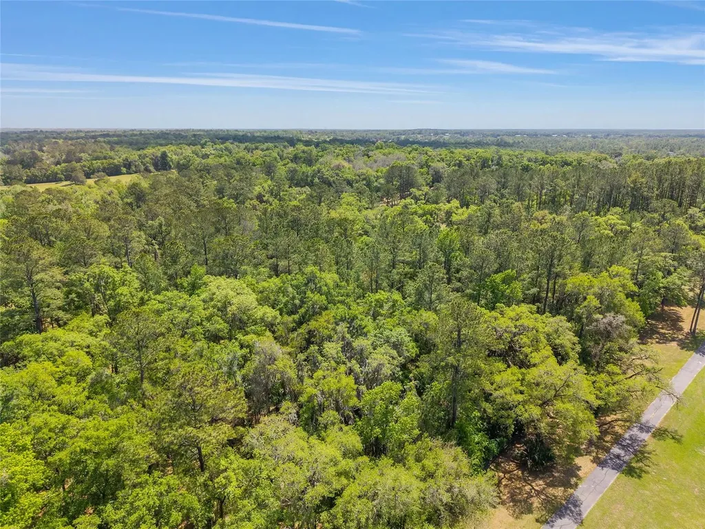 Tbd SW 144 Court Road Ocala FL 34482