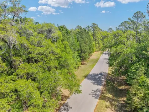 Tbd SW 144 Court Road Ocala FL 34482
