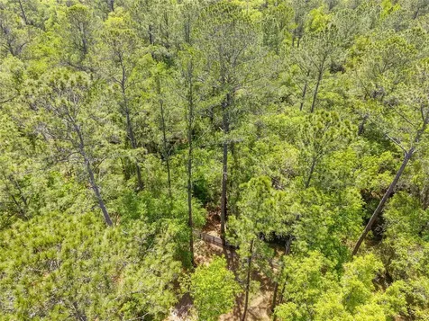 Tbd SW 144 Court Road Ocala FL 34482