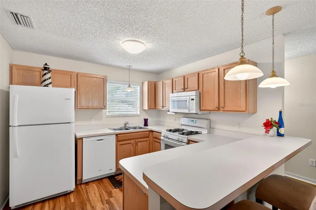 1088 Gennesse Lane The Villages FL 32162