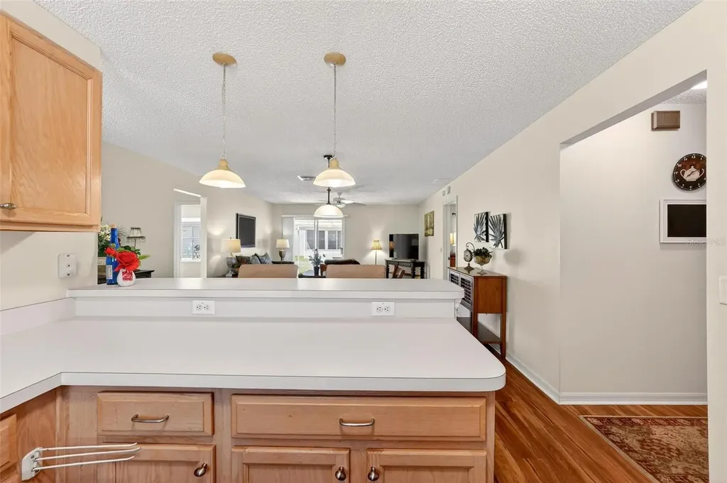 1088 Gennesse Lane The Villages FL 32162