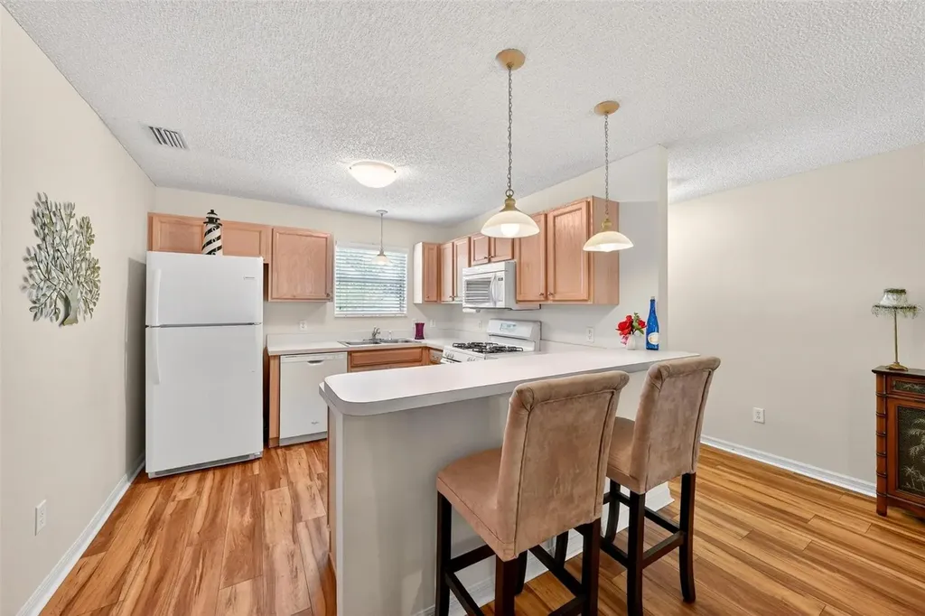 1088 Gennesse Lane The Villages FL 32162