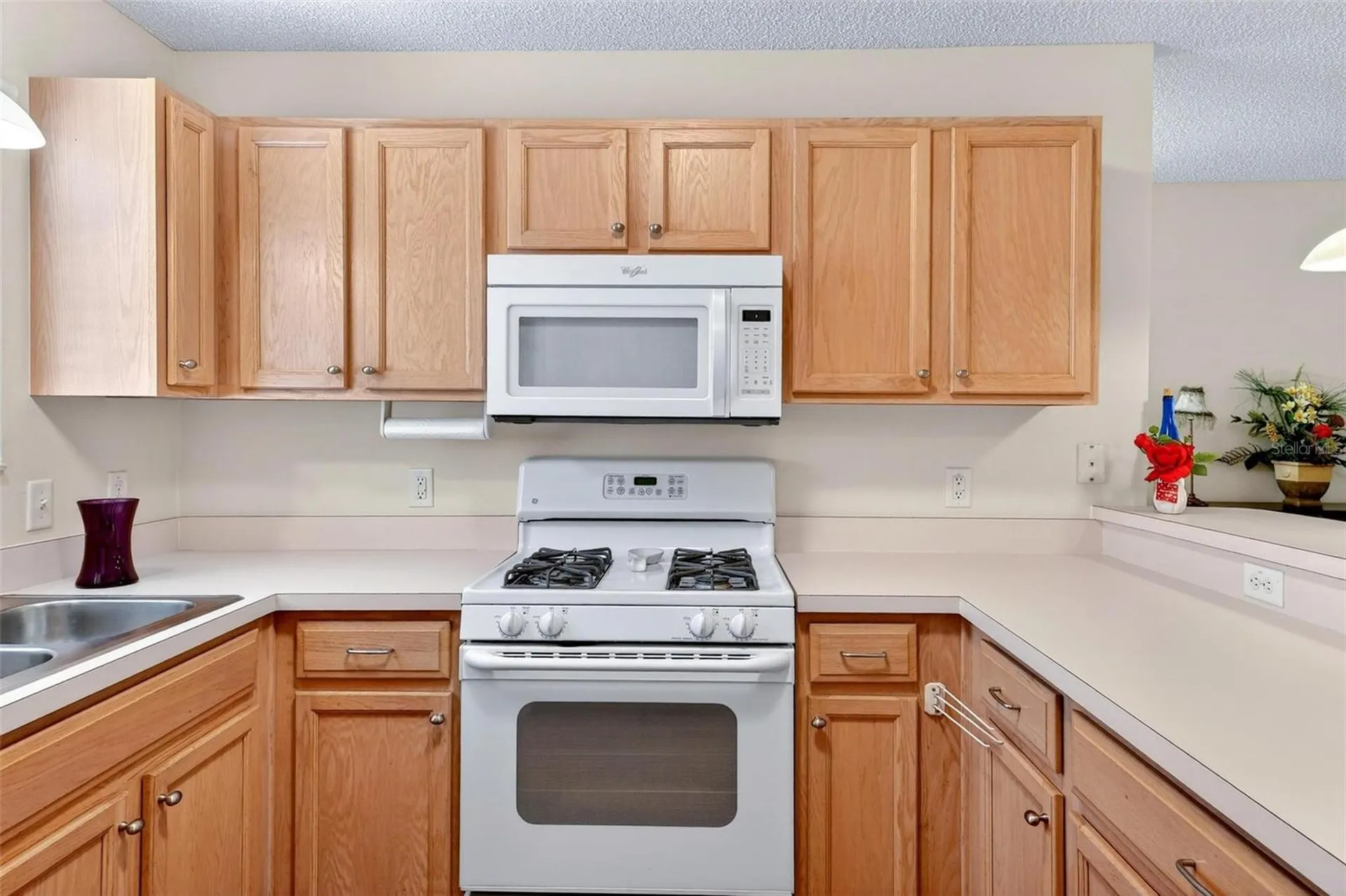 1088 Gennesse Lane The Villages FL 32162