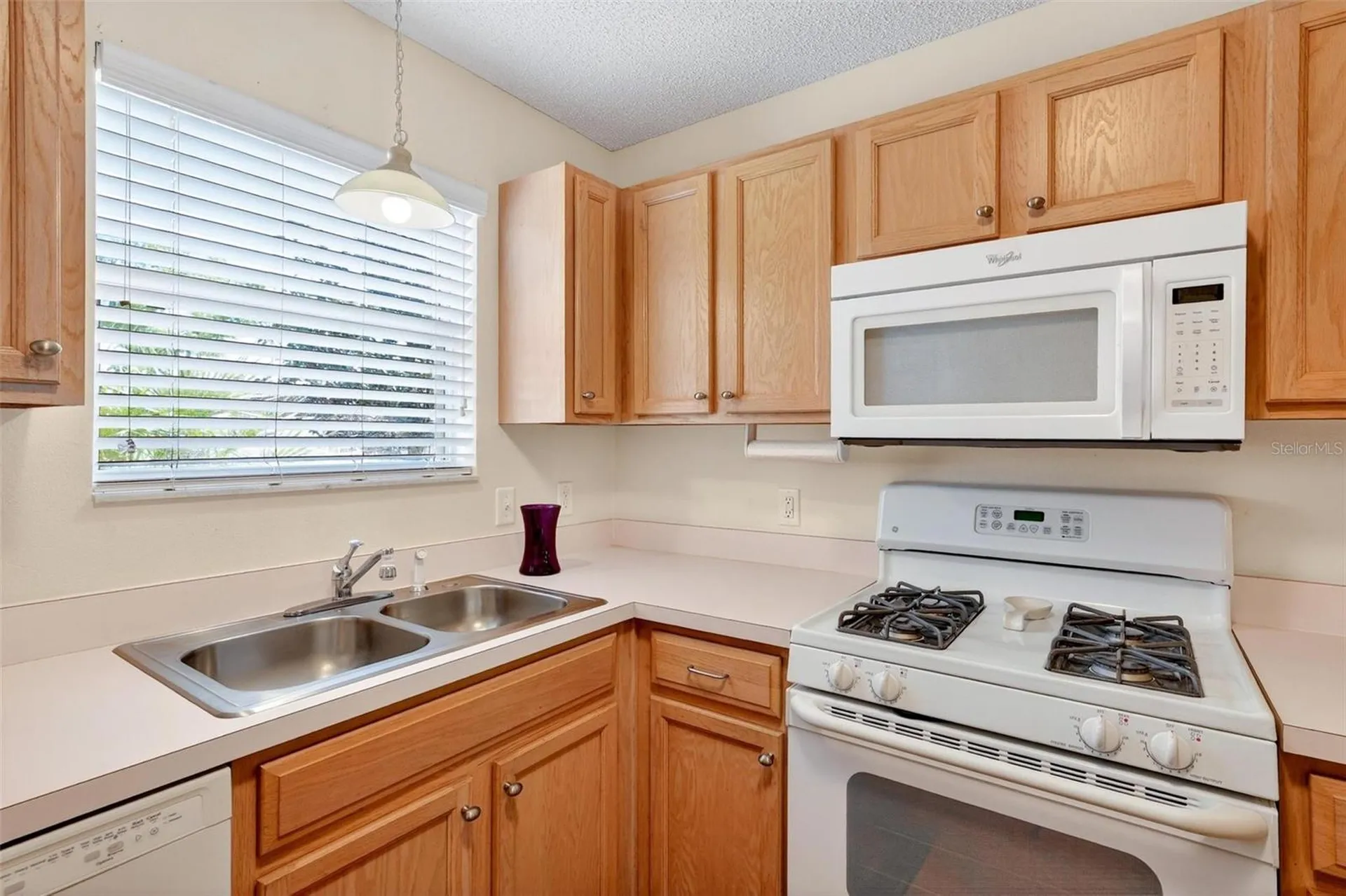1088 Gennesse Lane The Villages FL 32162