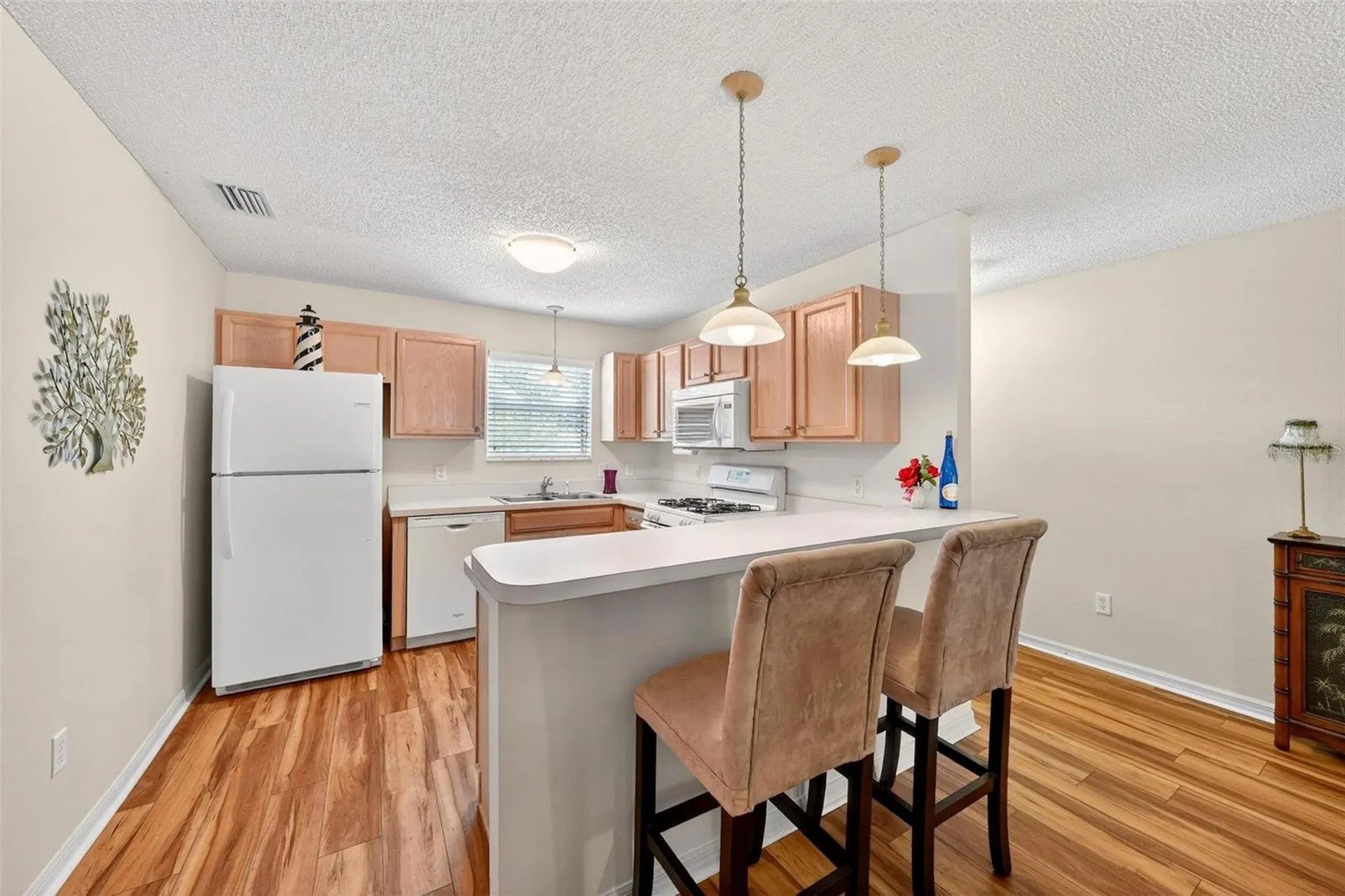 1088 Gennesse Lane The Villages FL 32162