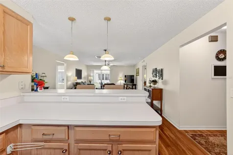 1088 Gennesse Lane The Villages FL 32162