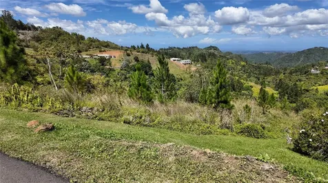 Carr 155 Km 33.1 Int Bo. Gato Orocovis PR 00720