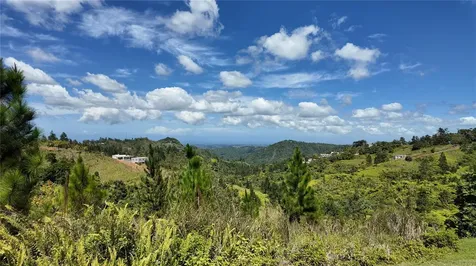 Carr 155 Km 33.1 Int Bo. Gato Orocovis PR 00720
