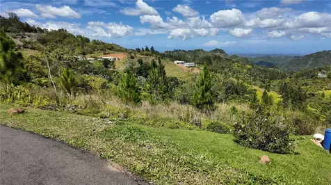 Carr 155 Km 33.1 Int Bo. Gato Orocovis PR 00720