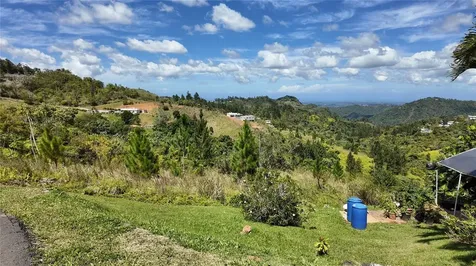Carr 155 Km 33.1 Int Bo. Gato Orocovis PR 00720