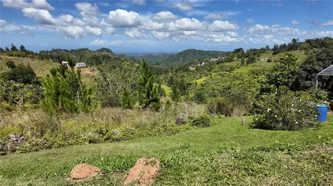 Carr 155 Km 33.1 Int Bo. Gato Orocovis PR 00720