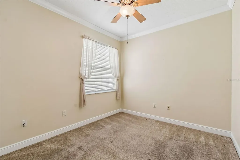 20904 Tangor Road Land O Lakes FL 34637