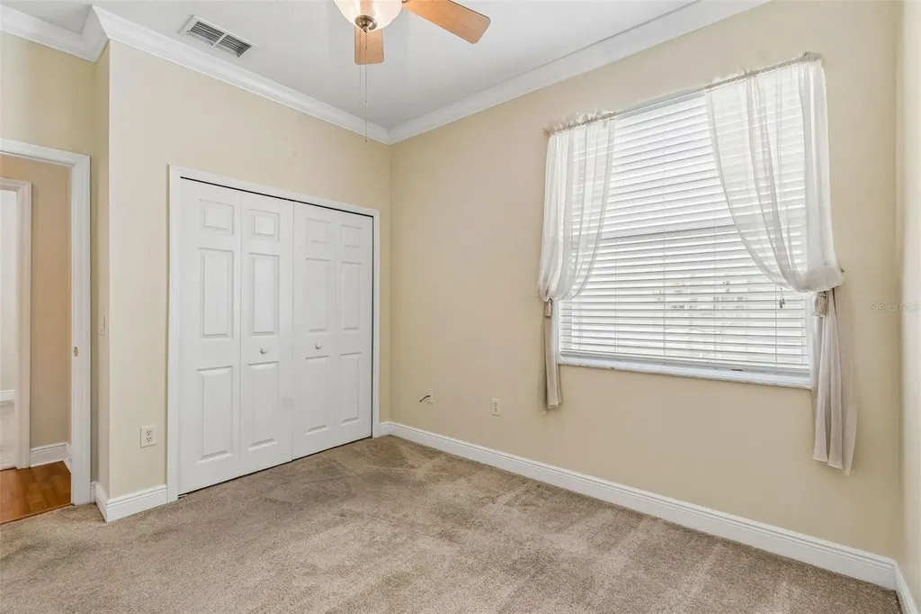 20904 Tangor Road Land O Lakes FL 34637