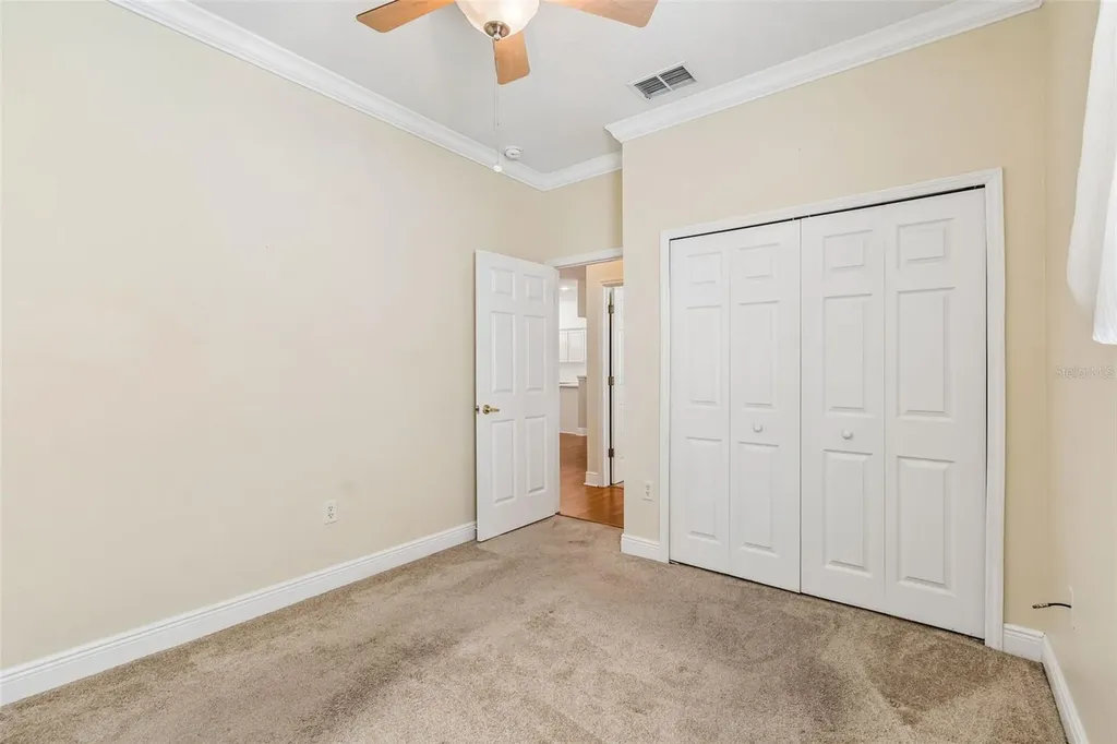 20904 Tangor Road Land O Lakes FL 34637