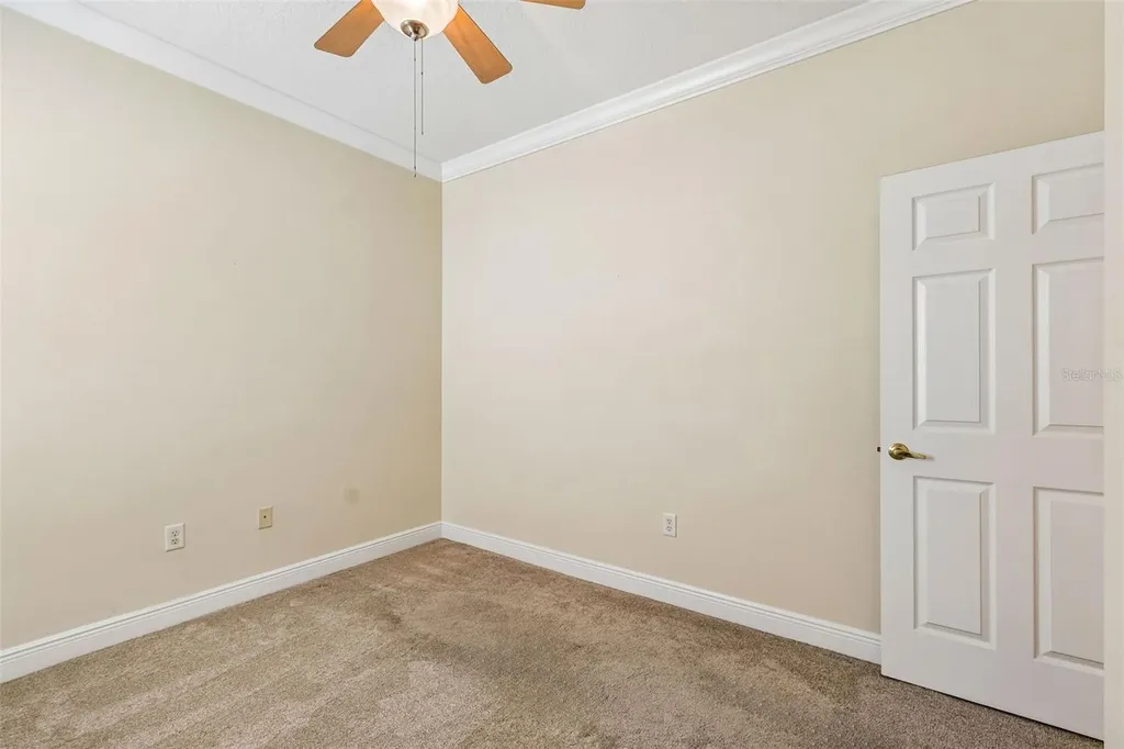 20904 Tangor Road Land O Lakes FL 34637