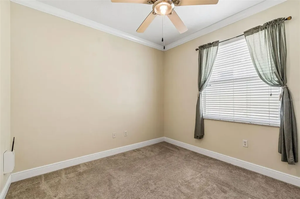 20904 Tangor Road Land O Lakes FL 34637