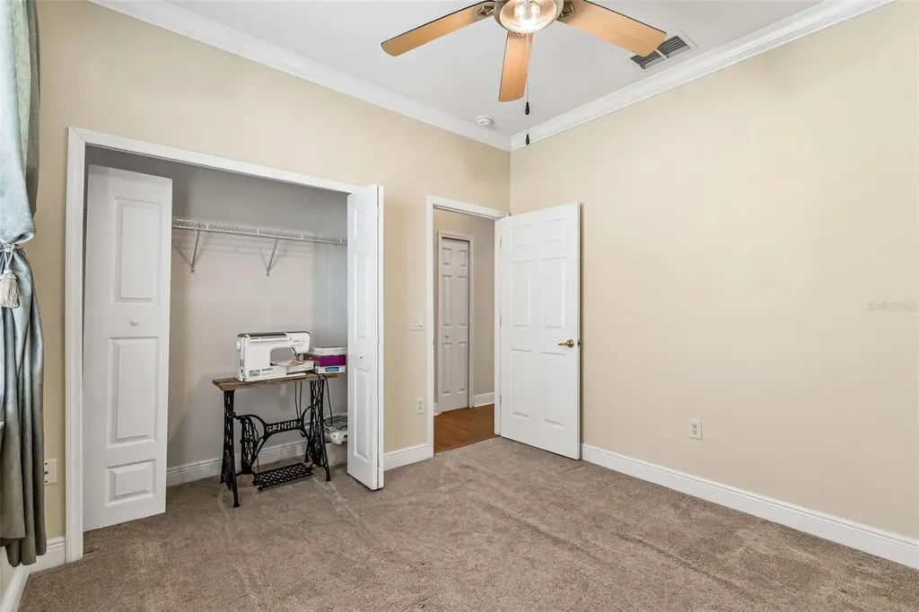 20904 Tangor Road Land O Lakes FL 34637