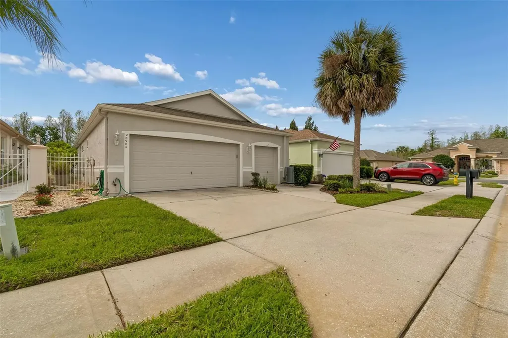 20904 Tangor Road Land O Lakes FL 34637